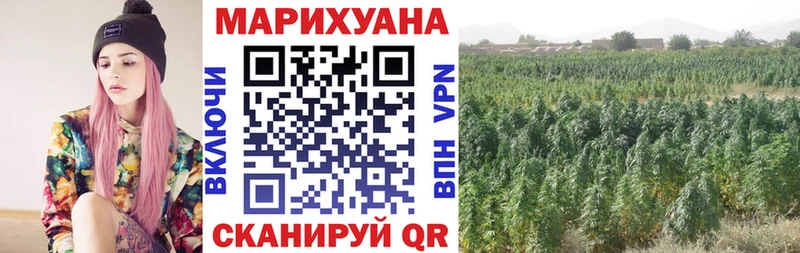 Где продают наркотики Строитель Канабис Alpha-PVP ГАШИШ КОКАИН