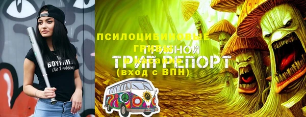 героин Алексин