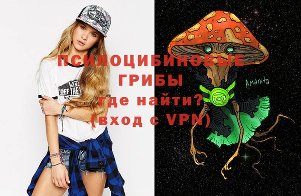 героин Алексин