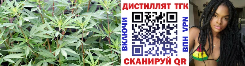 Дистиллят ТГК гашишное масло  Строитель 
