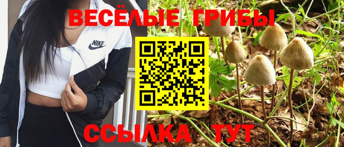 Псилоцибиновые грибы мухоморы Строитель