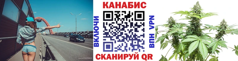 Каннабис White Widow  наркошоп  Строитель 